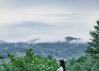 Li Ziqi’s Intricate Food and Craft Videos