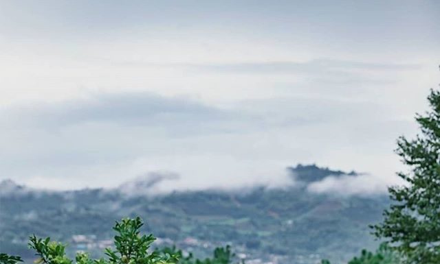 Li Ziqi’s Intricate Food and Craft Videos