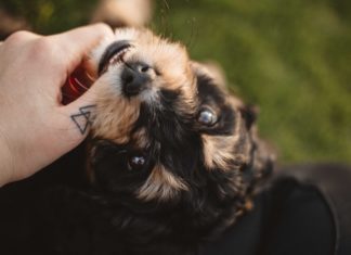 Amazing Minimalist Design Ideas For Your Next Tattoo