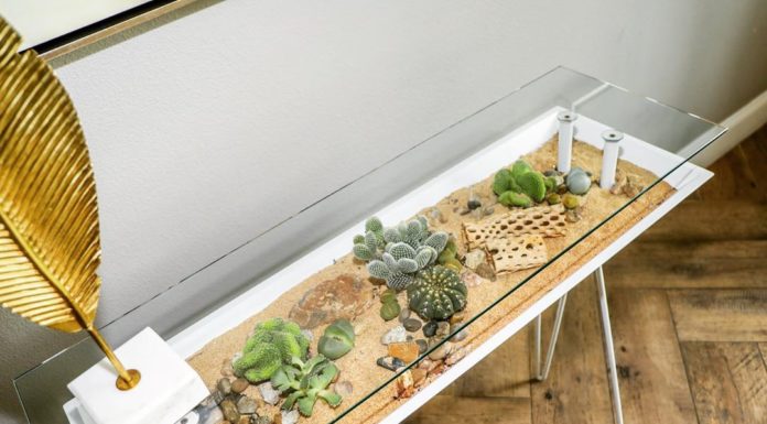This Innovative Table is Also a Mini Garden in Your Home