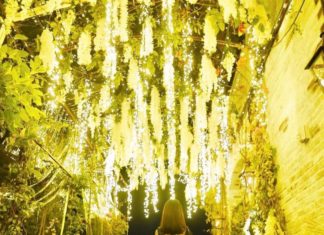 Take a Look at the Most Instagrammable Restaurants in the World