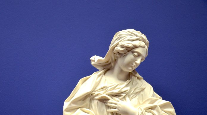 5 Museums to Visit in Vienna, Austria