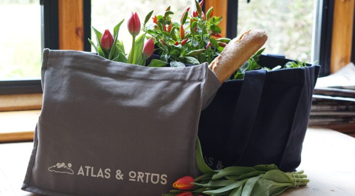 3 Reasons Why You Should Switch to Reusable Grocery Bags