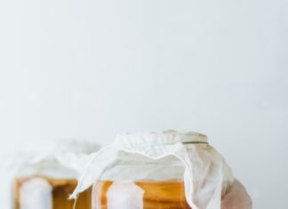 How to Start Your First Ever Kombucha Batch