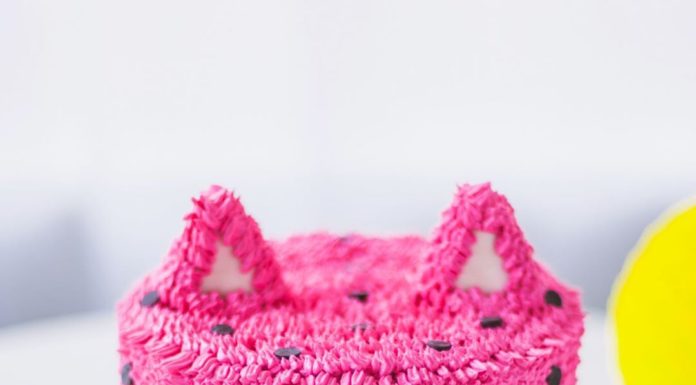 “Cococakeland” is Giving Us Cuteness Overload