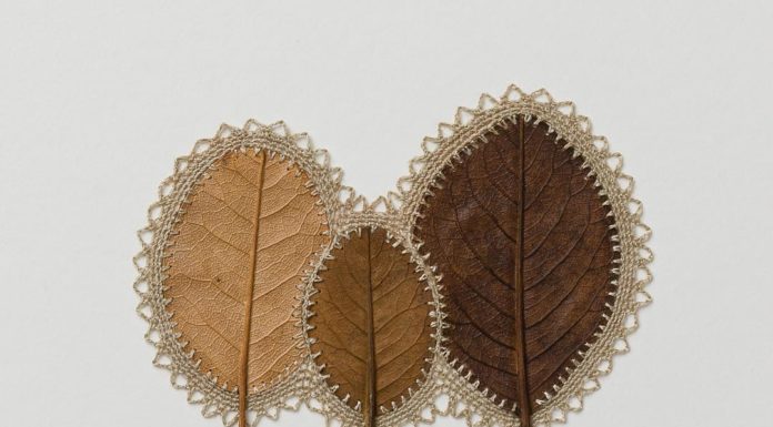 Susanna Bauer Transforms Dried Leaves Into Delicate Crochet Sculptures