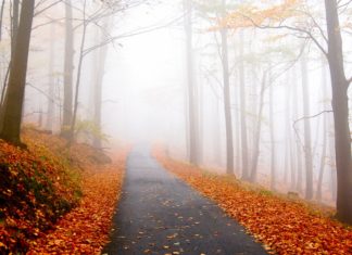 3 Benefits of Traveling During Fall That Never Crossed Your Mind