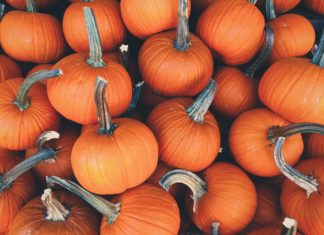 Five Delicious Ways to Eat Pumpkins This Fall