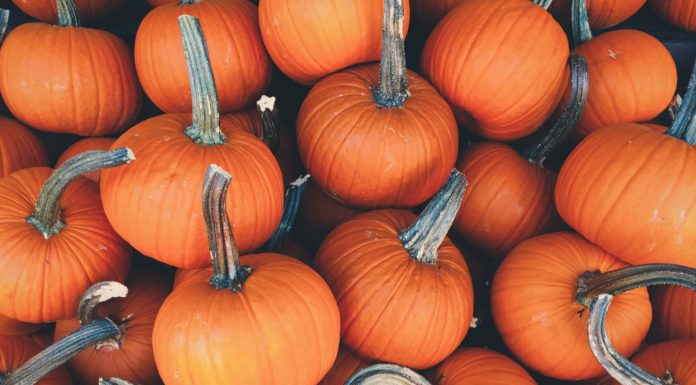 Five Delicious Ways to Eat Pumpkins This Fall