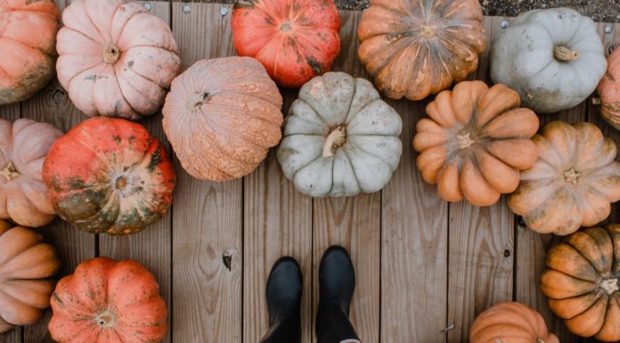 Cozy Up Your Front Porch For Fall
