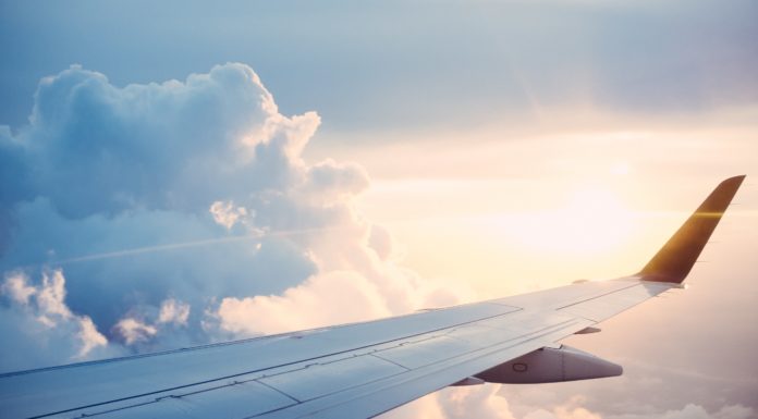 Best Ways to Deal with Airplane Food if You’re a Vegan