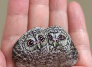 Artist Paints Realistic Miniature Animals On Stones