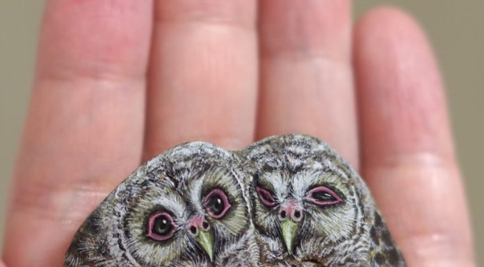 Artist Paints Realistic Miniature Animals On Stones
