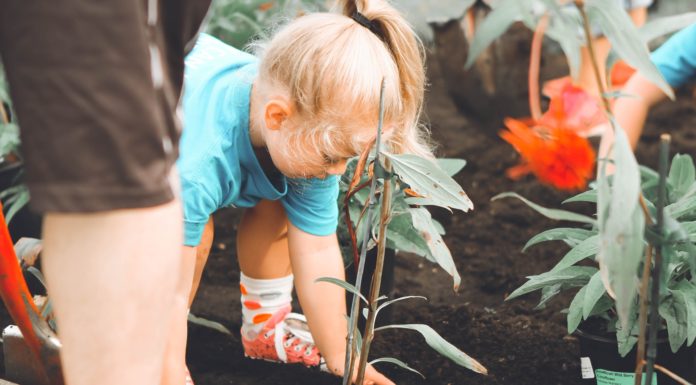 Did You Know That Your Kids Will Be More Successful If They Do Chores?