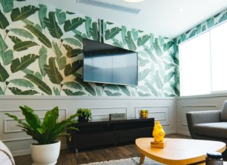 Turn Your Walls From Drab to Fab With Statement Wall Murals