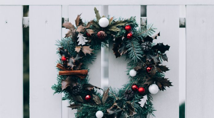 These Holiday Plants are Dangerous to Pets