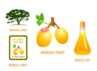 5 Reasons You Should Add Marula Oil To Your Beauty Regime
