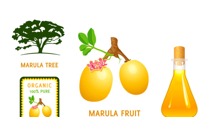 5 Reasons You Should Add Marula Oil To Your Beauty Regime