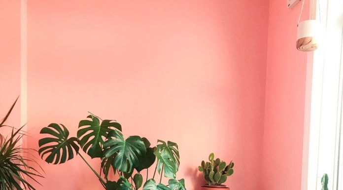 Charming Coral Rooms From Instagram