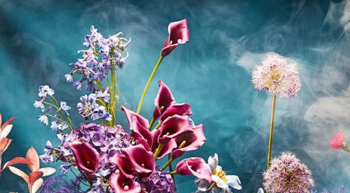 Cute Floral Accounts to Follow On Instagram