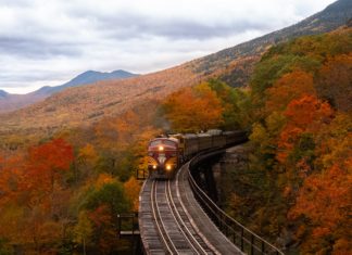 Amazing Benefits of Train Travel You Should Keep in Mind
