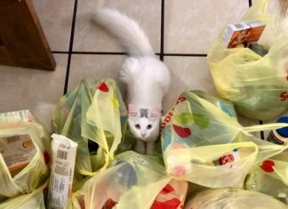 5 Ways You Can Reduce Supermarket Plastic