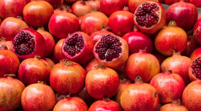 You Won’t Miss Summer With These Winter Fruits