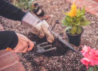 These Are the Gardening Mistakes You Don’t Know You’re Doing