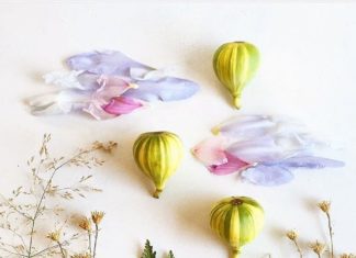 Seattle Artists Uses Plants and Flowers to Create Amazing Botanical Art