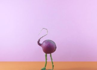 Danling Xiao Makes Incredible Food Art