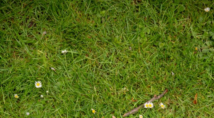 Key Pieces for a Fashionable Spring