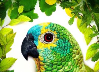 Paulina Bartnik Creates Incredibly Intricate Embroidered Birds
