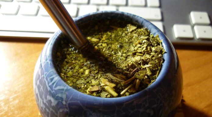 Yerba Mate: The Beverage Taking Over the Industry
