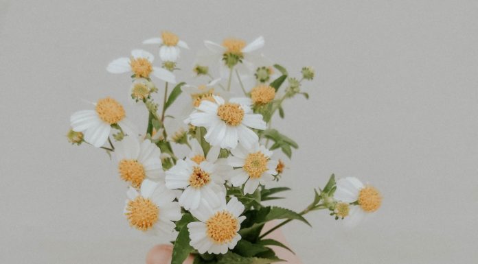 Scrunchies Are Back In Fun & Unexpected Styles