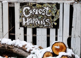 Why Composting is the Best Thing You Can Do