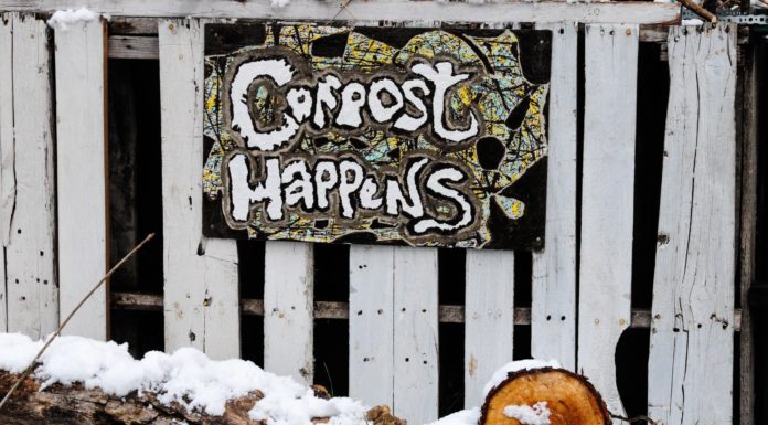 Why Composting is the Best Thing You Can Do