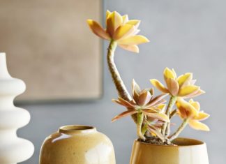 These Beautiful Vases Are Decorative Even When Empty