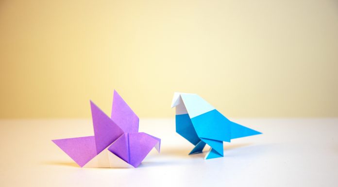 3 Reasons Why Origami Should Become Your New Hobby