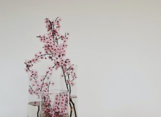Decorate Your Home With Spring Branches