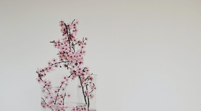 Decorate Your Home With Spring Branches