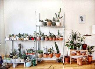 Make Your Home Feel Like Spring, While Social Distancing