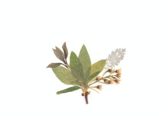 Fun Collections Anyone Can Start for Free