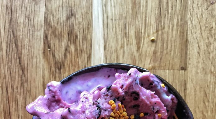 This Blueberry Frozen Yogurt is Perfect For Summer