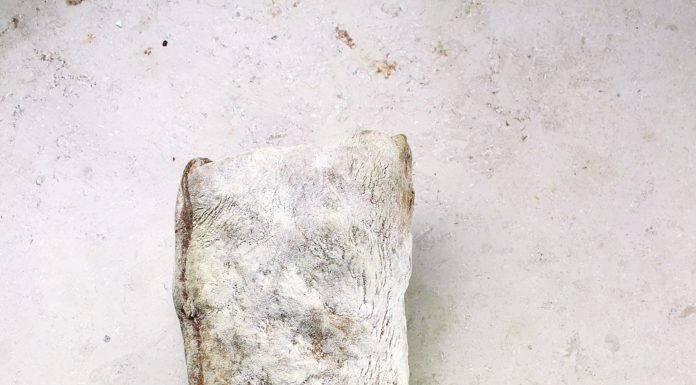 Have You Heard of Ice Cream Bread?