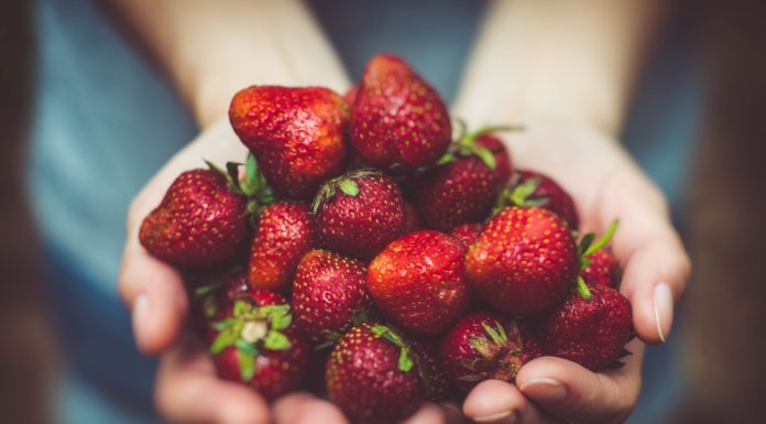 5 Healthy Foods to Keep You Hydrated During Summer