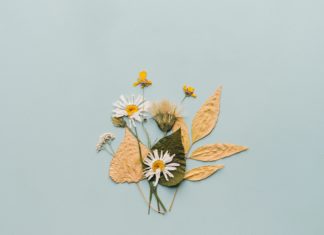 Vintage Home Décor That You Can Make with Pressed Flowers