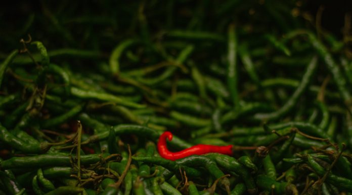 From Refreshing to Spicy: The Two Dynamic Greens to Home-grow This Summer