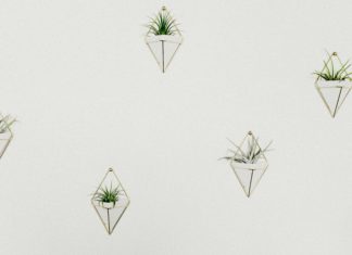 Fun Ways to Decorate Your Walls Without Picture Frames