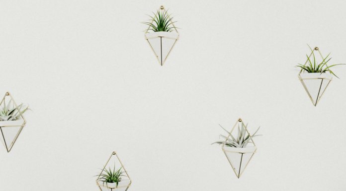 Fun Ways to Decorate Your Walls Without Picture Frames