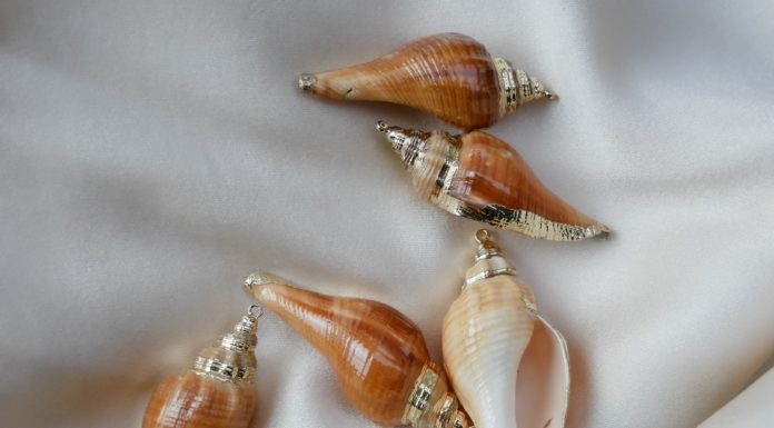 Best Ways to Wear Seashell Jewelry This Summer